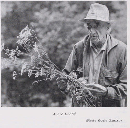 André Dhôtel mit Pflanzen