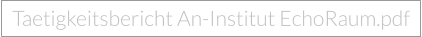 Taetigkeitsbericht An-Institut EchoRaum.pdf