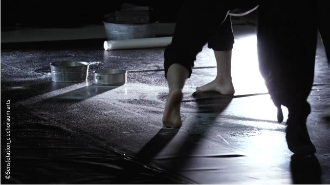 EchoRaum SAL SENS(e)ATION Performance