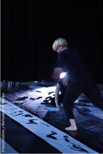 EchoRaum SAL SENS(e)ATION Performance