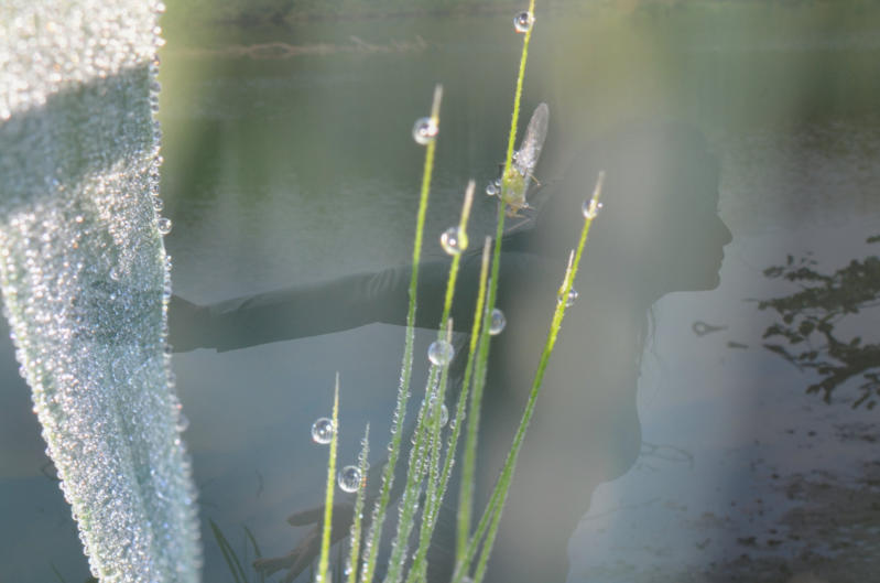 Tanz und Natur Workshop Impression